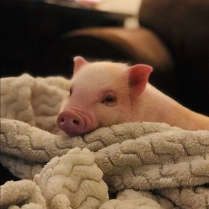 Meet your Posher, Kassidy